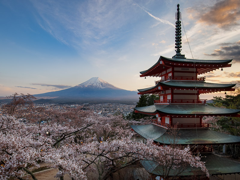 Printemps japonais